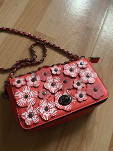 Designer Red Sling