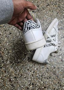 Adidas Superstar Zebra
