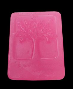 10 Organic Fruit Soaps @Rs500
