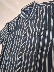 Striped Blue Buffalo Shirt
