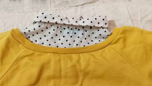 Korean sweater with fake collar