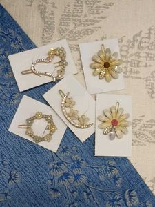 Decorative Hair Clip (any one @99)