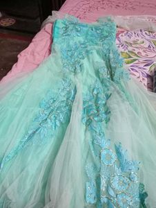 Elegant Gown With Cancan