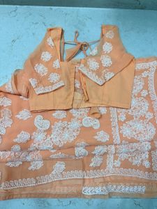 Peach Lukhnowi ChikanKari Saree