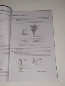NCERT Exemplar Biology Class XII