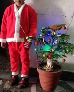 Santa dress