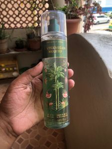 Bath And Body Works Watermelon Mojito