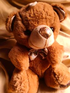 Teddy Bear
