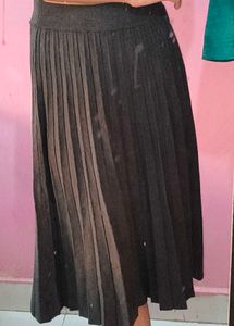Winter Skirt