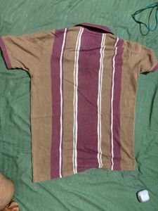 Striped Polo Shirt