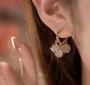 Elegant Drop Earrings