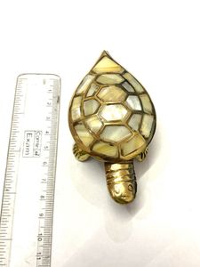 Wish Tortoise