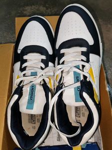 Asian Stylish Sneakers