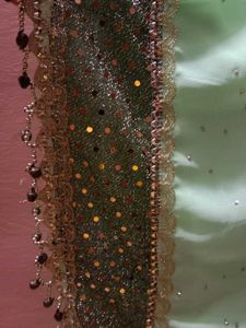 Mint Green Sari with Embellishments