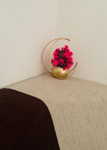 Moon🌙 Shape Vase Gold