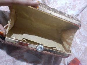 Sparkly Evening Clutch