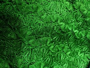 Net Cloth