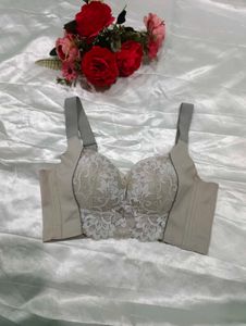 Imported Designer Corset Bra