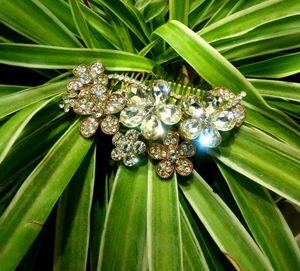 Hair Queen Clip