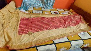 Elegant Red &amp; Gold Saree