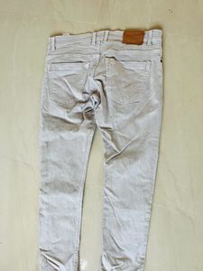 mens Pant