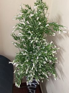 Vas With Artificial Plant