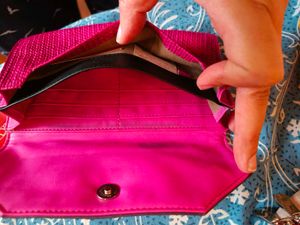 Brand New Baggit Clutch