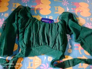 Green Sheer Sleeve Top