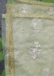 Net Pista Colour Dupatta