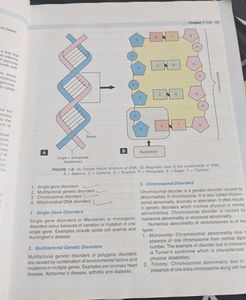 Medical Physiology Textbook