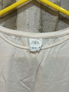 Baby Pink Zara Organza Sleeves Top