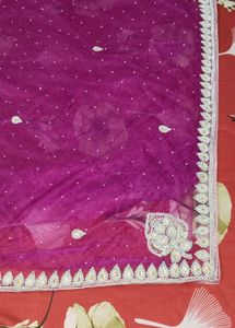 Net Saree With Designer Blouse