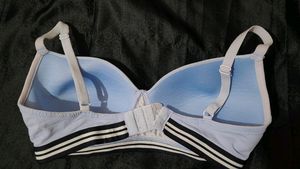 Zivame 34C Padded Bra