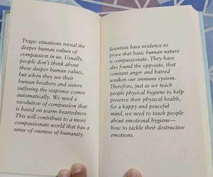 Little Book Of Encouragement by Dalai Lama