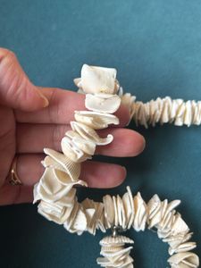 Sea Shell Necklace