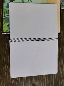 Classmate Pulse Notebooks - Set of 2