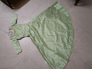 Pista Green &amp; Golden Net Gown (New)