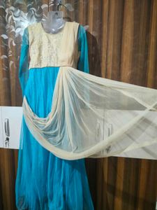 Elegant Ethnic Gown
