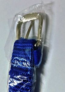 Blue Canvas Belt with Silver Buckle
