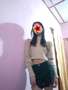 Woolen Top/Cropped Sweater