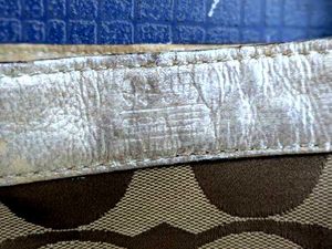 Coach Signature Canvas Shoulder Bag
