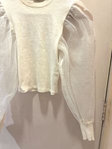Zara Knit Top with Sheer Sleeves