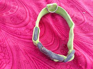 Dog Neck Belt