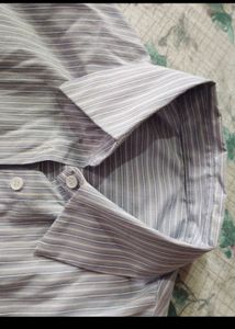 bow shirt