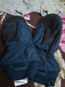 Combo Of Gloves  N Brief Free