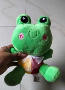 Cute Frog Plush Toy