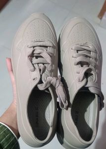 New Branded Sneakers
