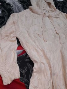 Hooded Sweater (hoodiee)