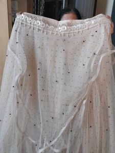 Elegant Beige Embroidered Lehenga set