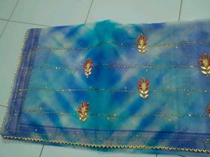 Oraganza&#34; Wedding Heavy Saree With Blouse